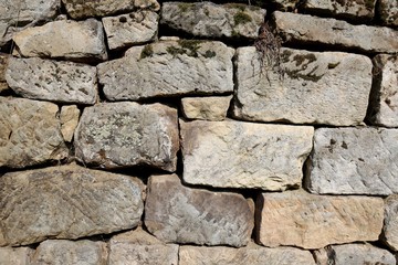 Steinmauer 1