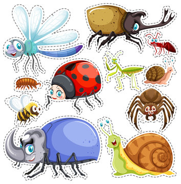 Sticker set of many insects