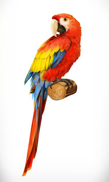 Ara parrot. Macaw. Photo realistic. 3d vector icon