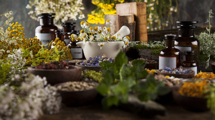 Alternative medicine, dried herbs and mortar on wooden desk back