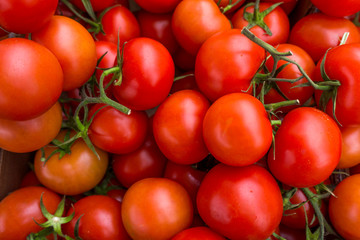 red tomatoes background. Group of tomatoes