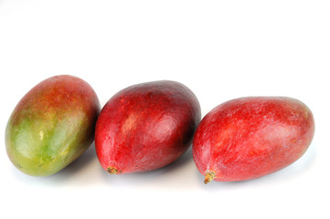 fresh mango on white background