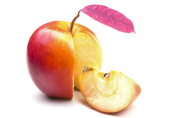 one piece of the whole ripe juicy red yellow