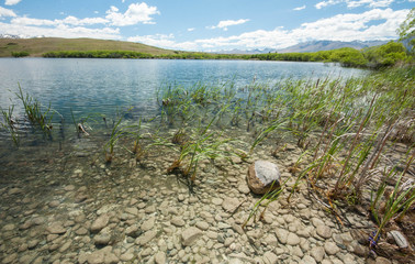 Lake Alexandrina (Maori Whakatukumoana), Mackenzie Basin, South Island, New Zealand 