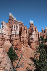 Naklejka premium Hoodoos view from Horse Trail in Bryce Canyon National Park, Utah 