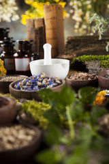 Assorted natural medical herbs and mortar on wooden table backgr