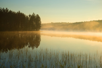 Fototapeta na wymiar Misty august morning on forest lake. Finland
