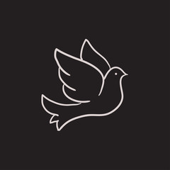 Wedding dove sketch icon.