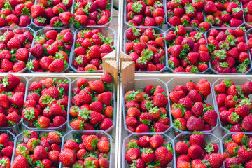 Naklejka na ściany i meble Fresh strawberries for sale at a market