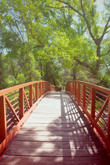 Fototapeta na wymiar A beautiful metal bridge in jungle with lovely green background,