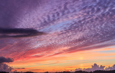 Colored evening sky