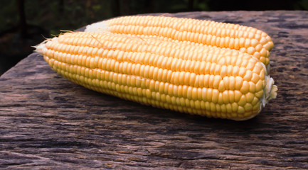 Fresh corn on cobs on rustic wooden table, closeup