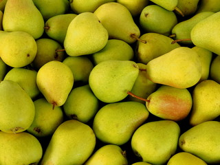 Fresh yellow and green pears background

