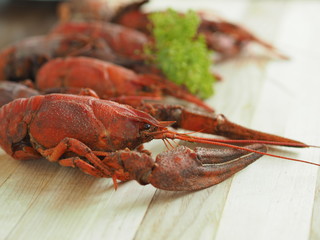 Fresh-caught crayfish cooked on a light wood background

