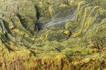 Green waves and Nebula