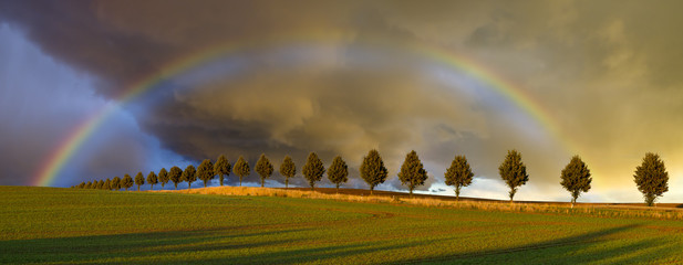 colorful rainbow after the storm passing over a field of grain
