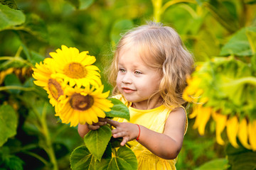 Obraz premium beautiful little girl in sunflowers
