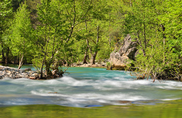 Yeşil ile Mavinin Uyumu