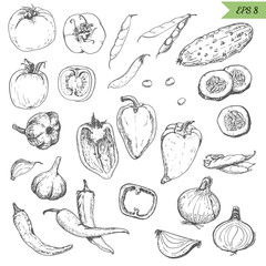 Set of isolated vegetables in a sketch style. Pepper, tomato, cucumber, peppers, onions, garlic, peas and beans