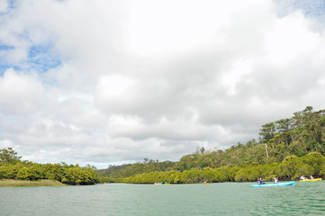 沖縄の美しい川とカヌー