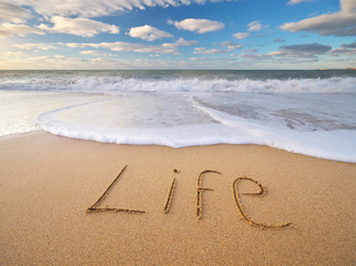 Life word on the sea