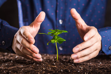 植物を育てる人間の手