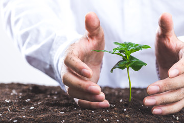 植物を育てる人間の手