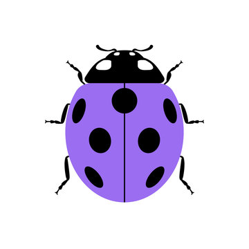 Ladybug small icon. Lilac lady bug sign, isolated on white background. Wildlife animal design. Cute colorful ladybird. Insect cartoon beetle. Symbol of nature, spring or summer. Vector illustration
