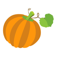 Pumpkin with leafs isolated on  white background