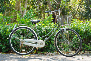 Fototapeta na wymiar a green bike on a nature background