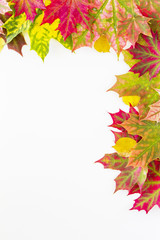 Colourful autumn fall leaves frame on white background.