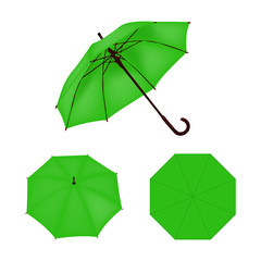 Light green umbrella vector isolated
