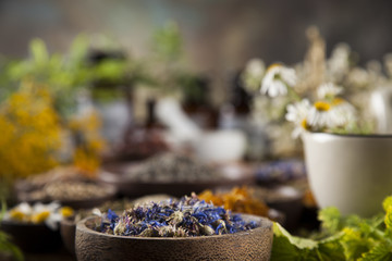 Alternative medicine, dried herbs and mortar on wooden desk back