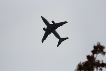 aircraft