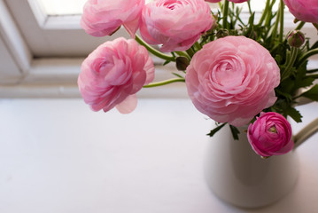 High angle close up of pink ranunculus in white jug on window sill  (selective focus)