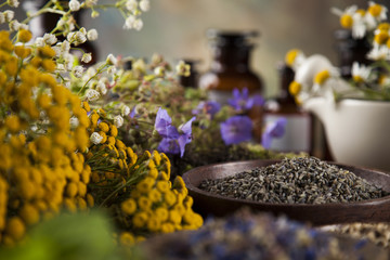 Herbs, berries and flowers with mortar, on wooden table backgrou