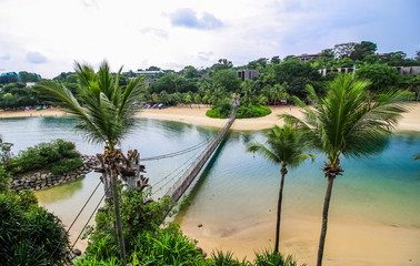 Wooden bridge
