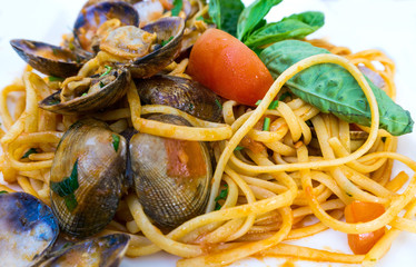 Pasta with Clam Dinner Dish on a the table