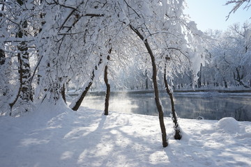 Winter landscape in the park. High resolution and quality