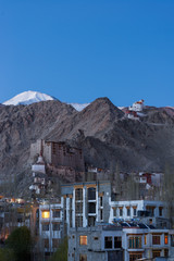 Leh Palace