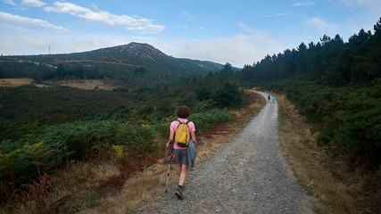 Obraz premium Pilgrims, Road to Compostela, pilgrims Road to French Santiago de Compostela, Galicia, Spain, landscapes in the pilgrimage to Santiago de Compostela
