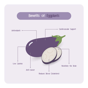 Infographic for eggplant benefits with handwriting font style