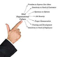 Ideal Organizational Culture