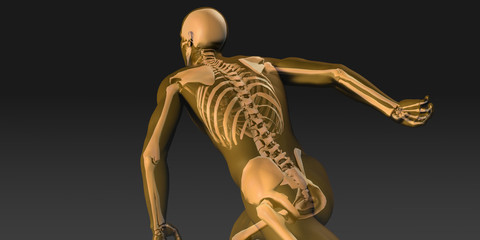 Research and Development on Body Science