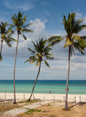 Palm trees on tropical beach. Bantayan, Philippines.