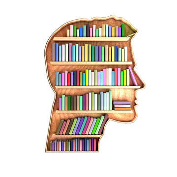 Biblioth&egrave;que en forme de t&ecirc;te contenant des livres sur &eacute;tag&egrave;res. Concept sur le cerveau. Les informations sont stock&eacute;es et organis&eacute;es. rendu 3D
