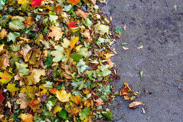Autumn Leaves