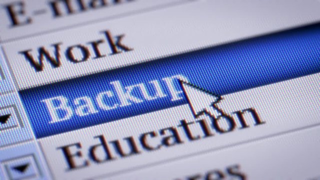 Backup. My own design of program menu.