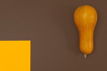 Butternut squash isolated on brown and orange split background