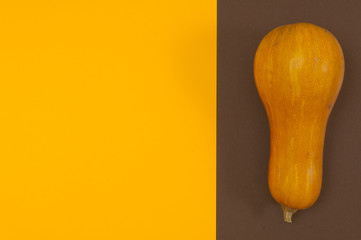 Butternut squash isolated on brown and orange split background